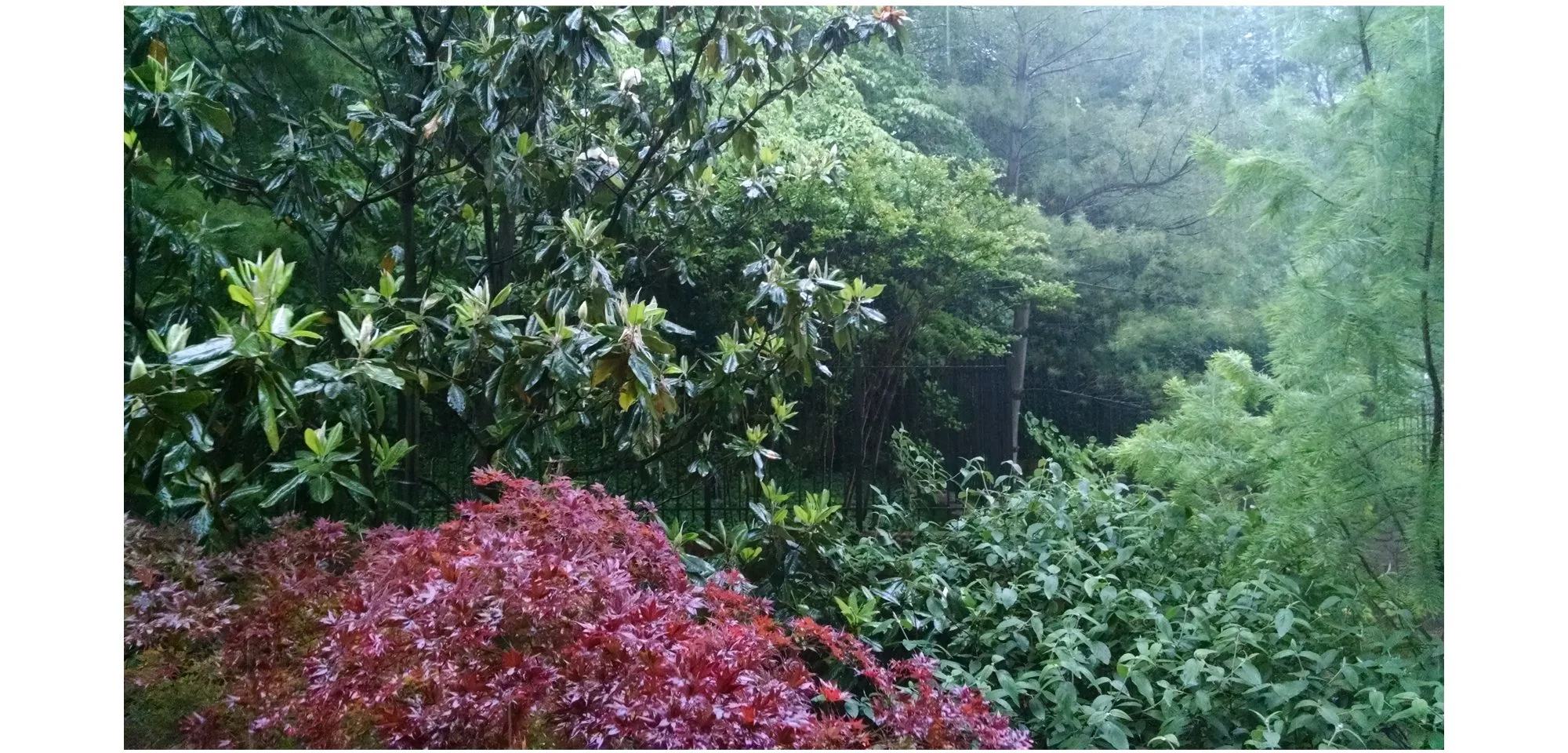 09 float chandelier float web.jpg