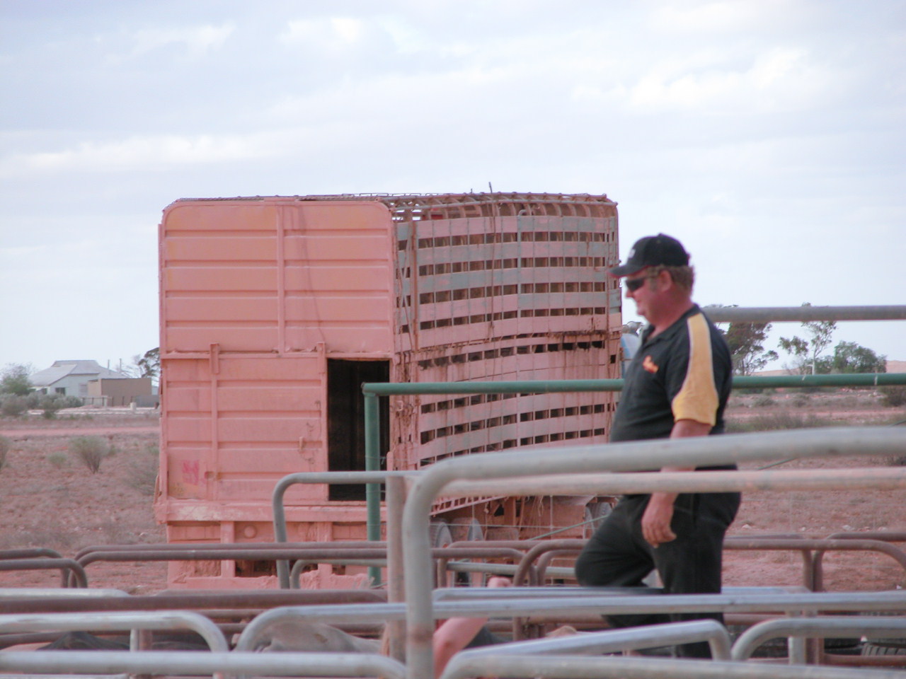 Nullarbor Muster 2008 051.jpg