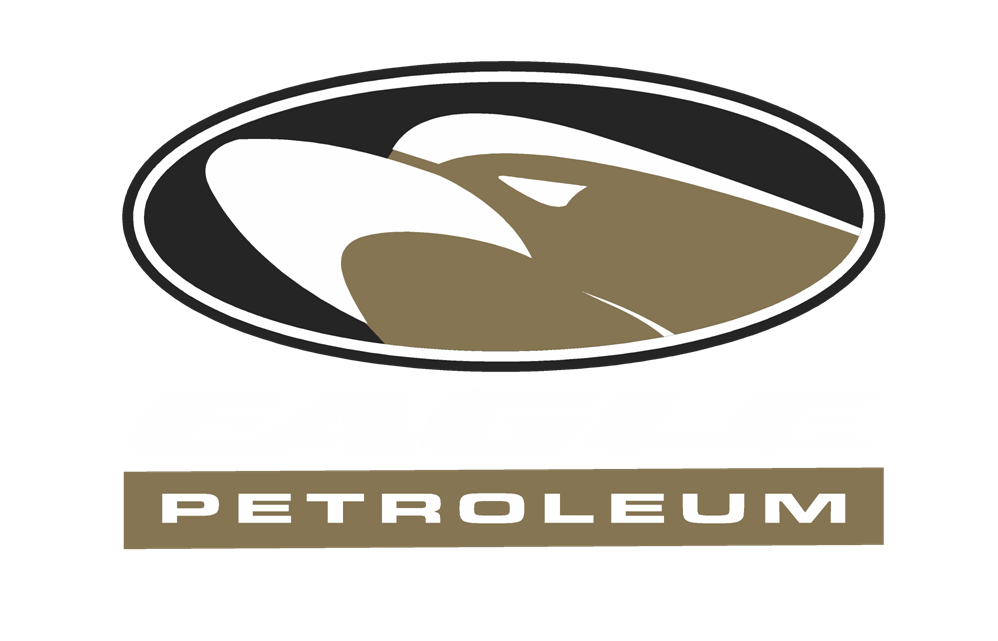 Eagle Petroleam.png