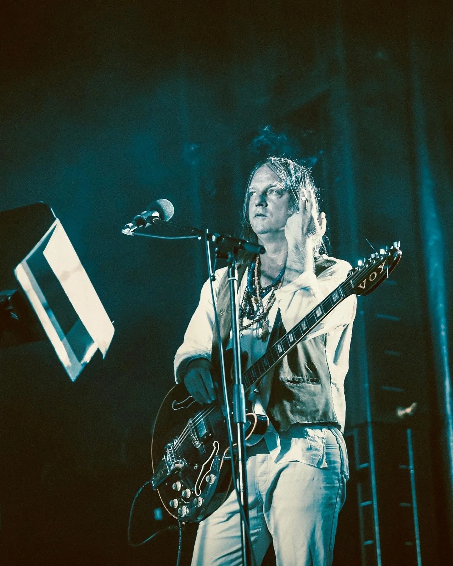 Brian Jonestown Massacre 