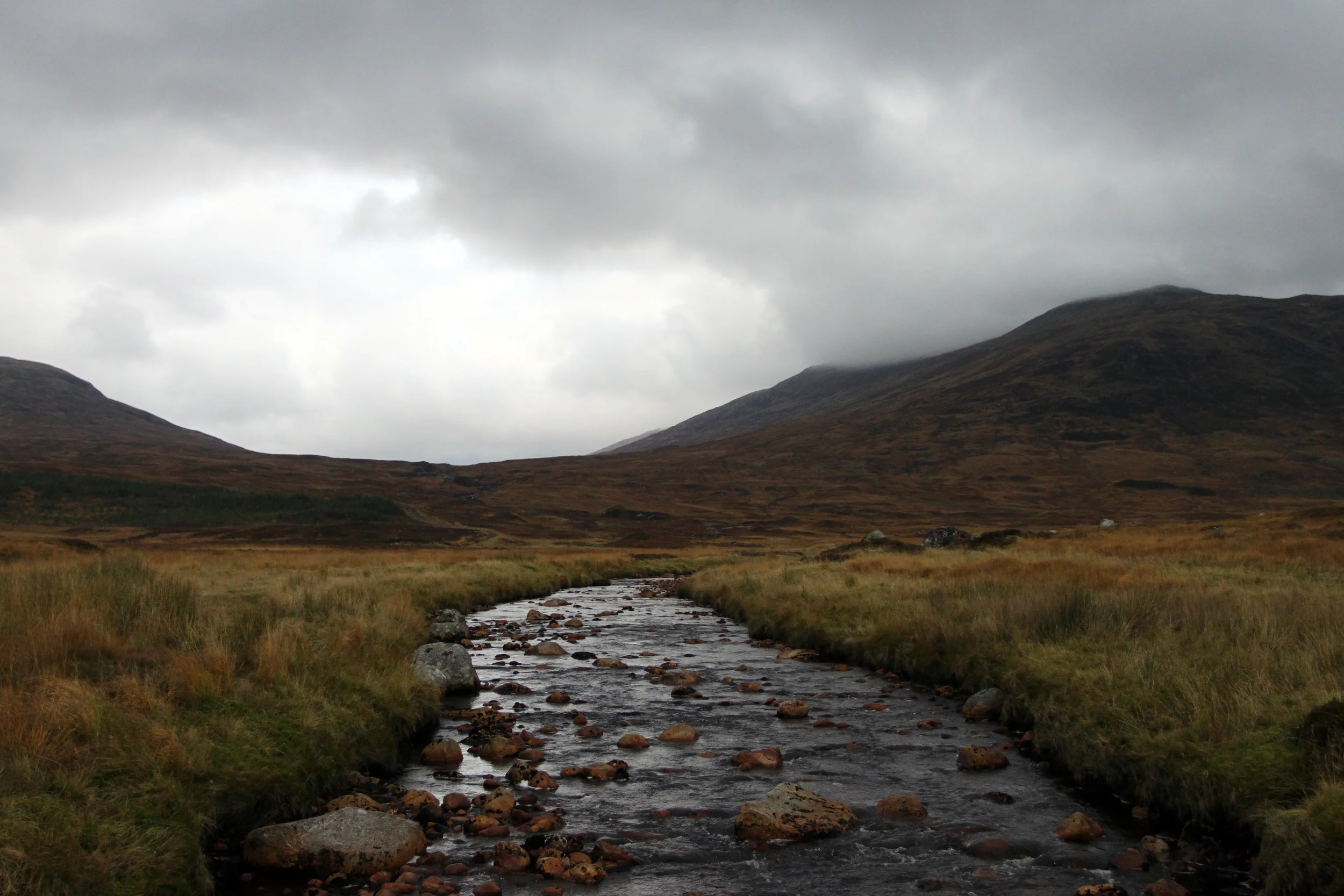 scotland5.jpg