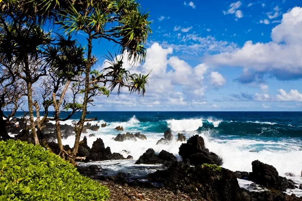 Hawaii Tourism Authority (HTA) / Tor Johnson