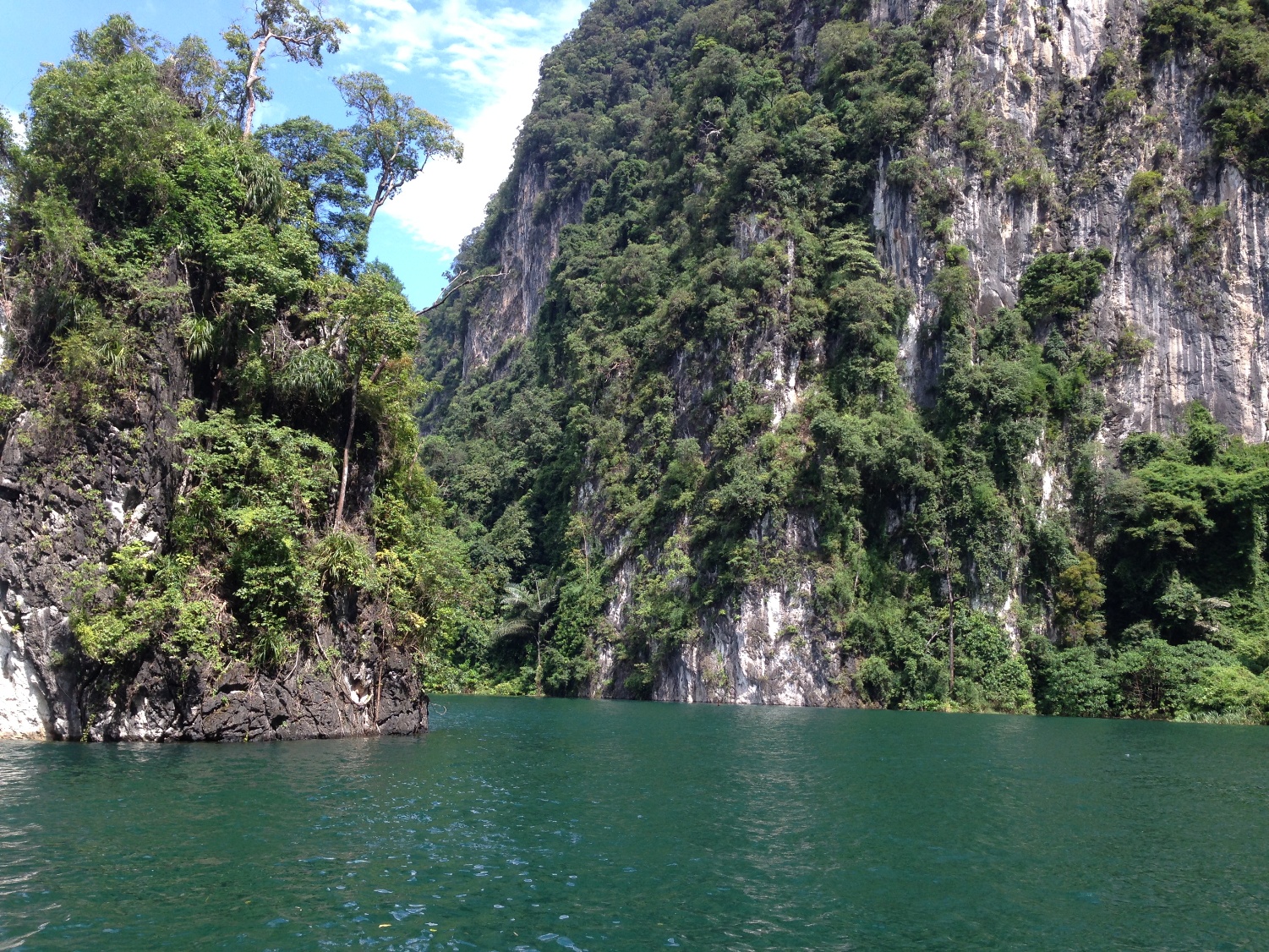 Cheow Larn Lake  -Jungle Safari