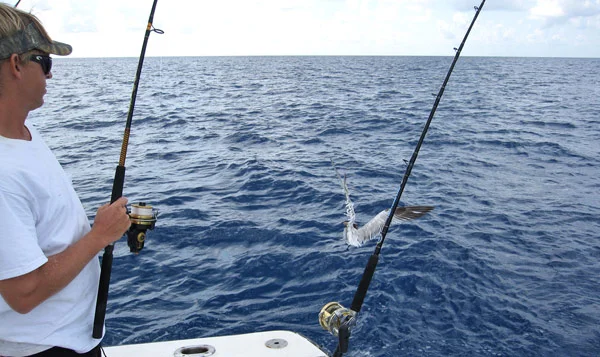 Deep sea fishing from £77.00