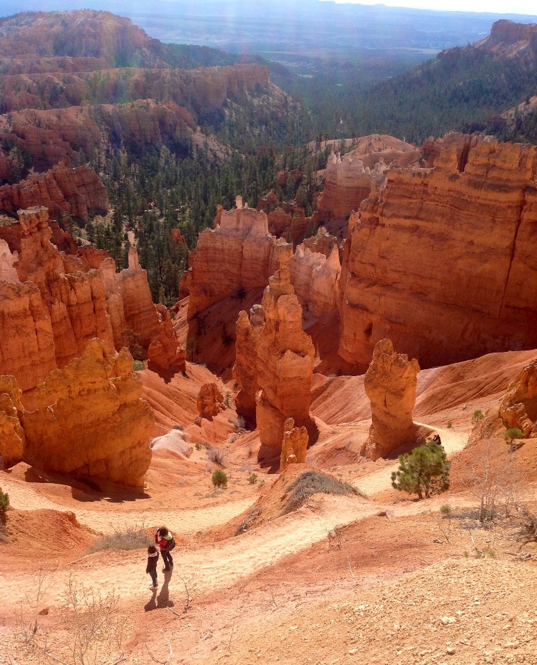 Bryce Canyon-client feedback.jpg