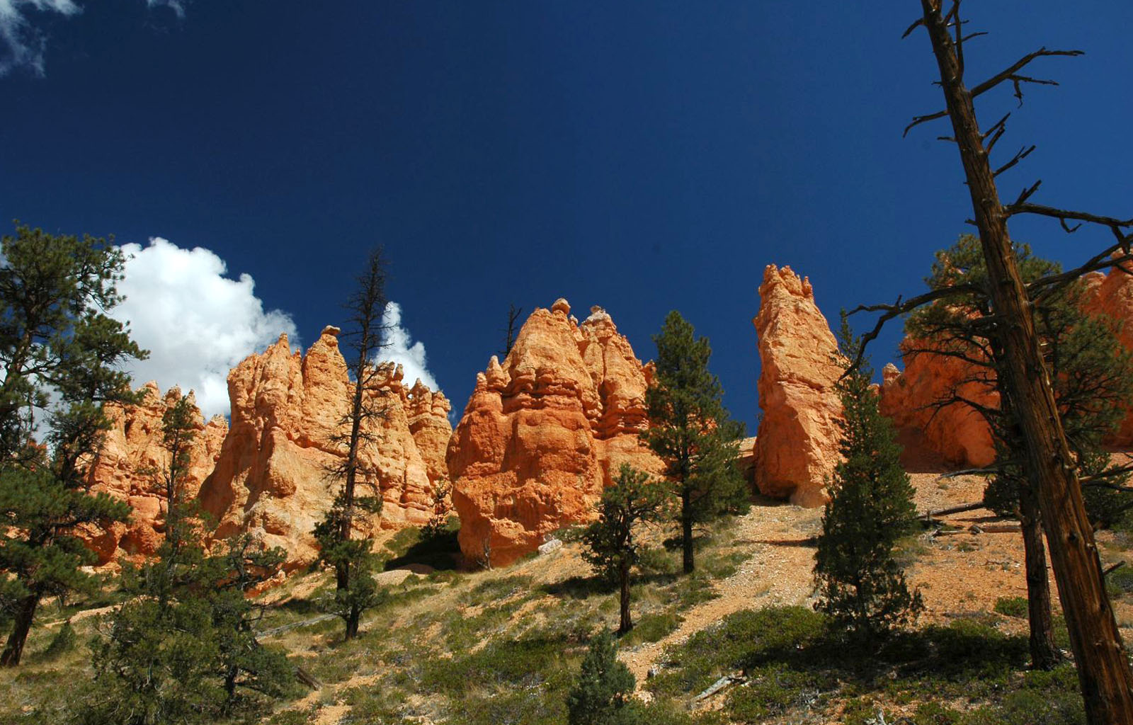 bryce-canyon-1392815.jpg