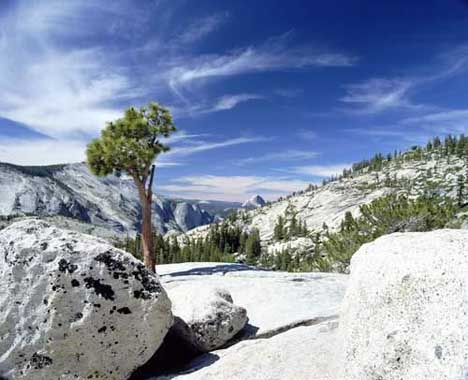 Yosemite 3.jpg