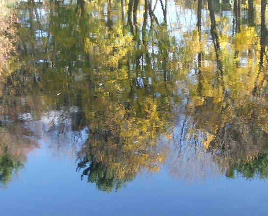 fall-reflections-1-1408085 - connecticut.jpg