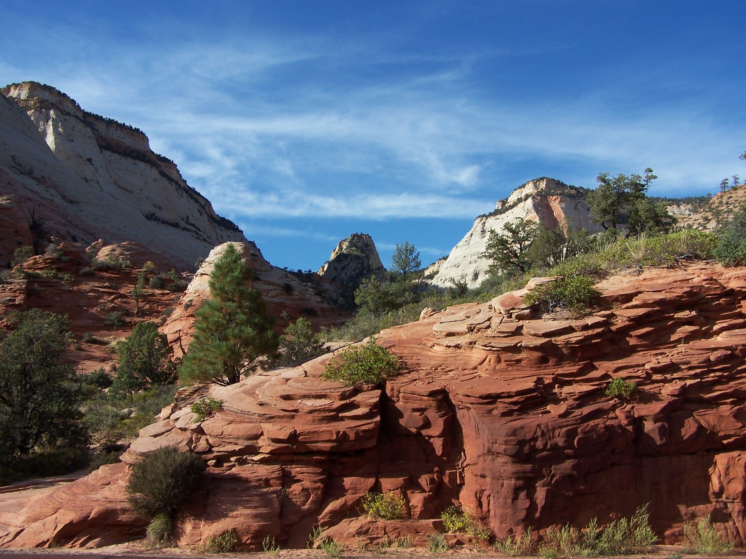 500638_33570161-Zion National Park.jpg