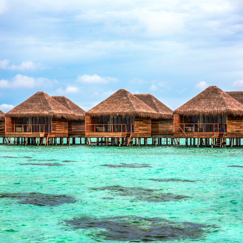 Cocoon Maldives 3.jpg