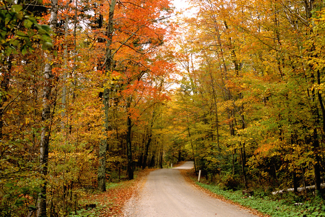 fall-pic-vermont-country-road-1568190.jpg