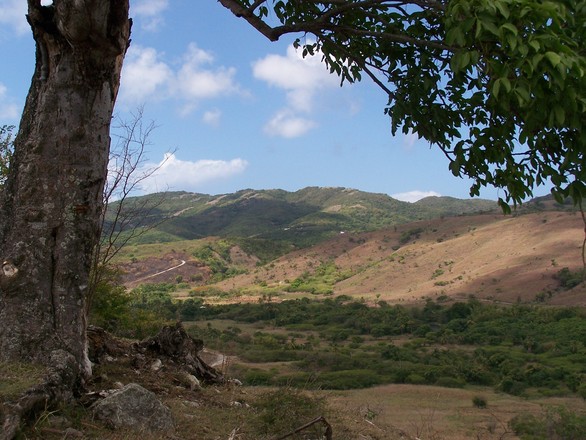 Antigua Countryside