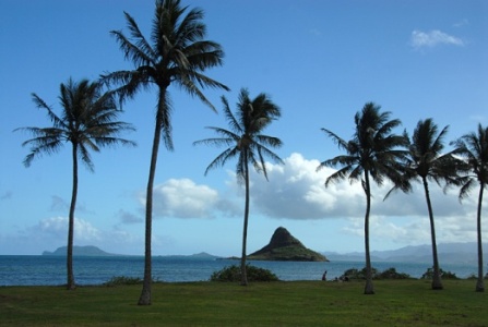 Hawaii Landscape.jpg