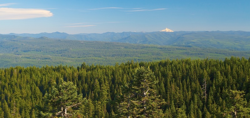 Mount Jefferson