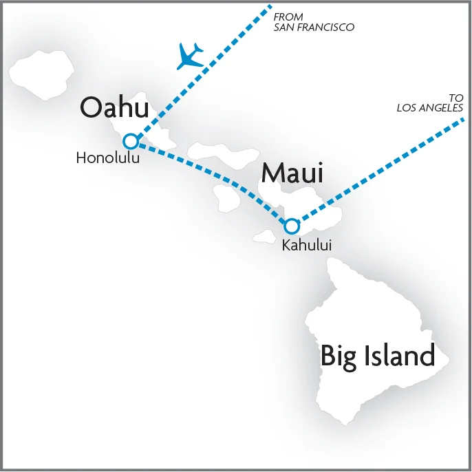 p232_hawaiiandream.jpg