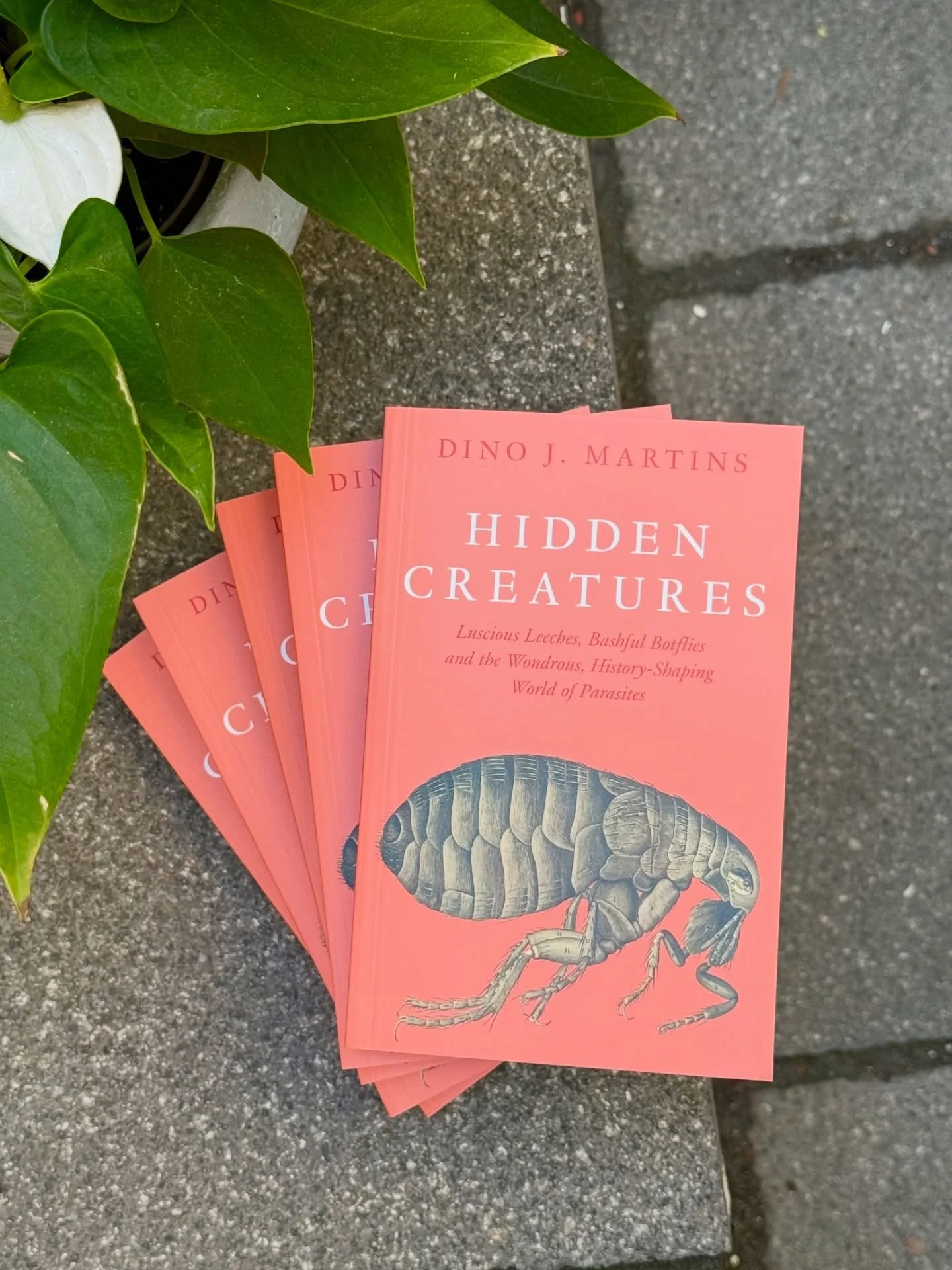 🪲NEW ADVANCE READER COPIES🪲

➡️ Hidden Creatures
Luscious Leeches, Bashful Botflies and the Wondrous, History-Shaping World of Parasites
By Dino Martins
From @wmcollinsbooks 
Coming 30 July 2026

Dr. Dino Martins, an awarding-winning entomologist o