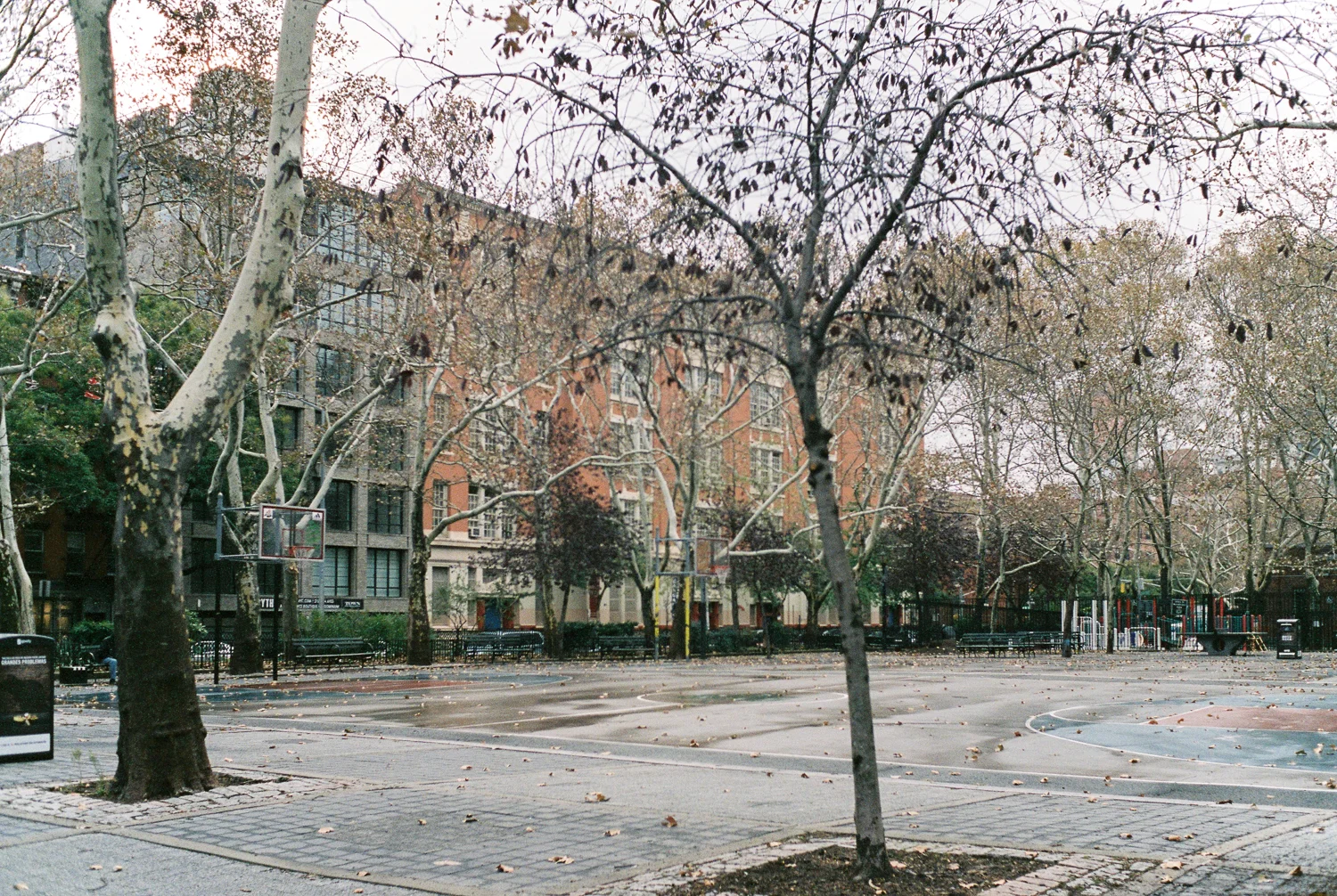 NY1500 - 006.jpg