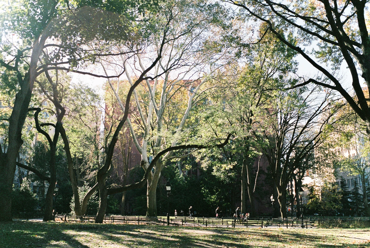 NY1500 - 031.jpg