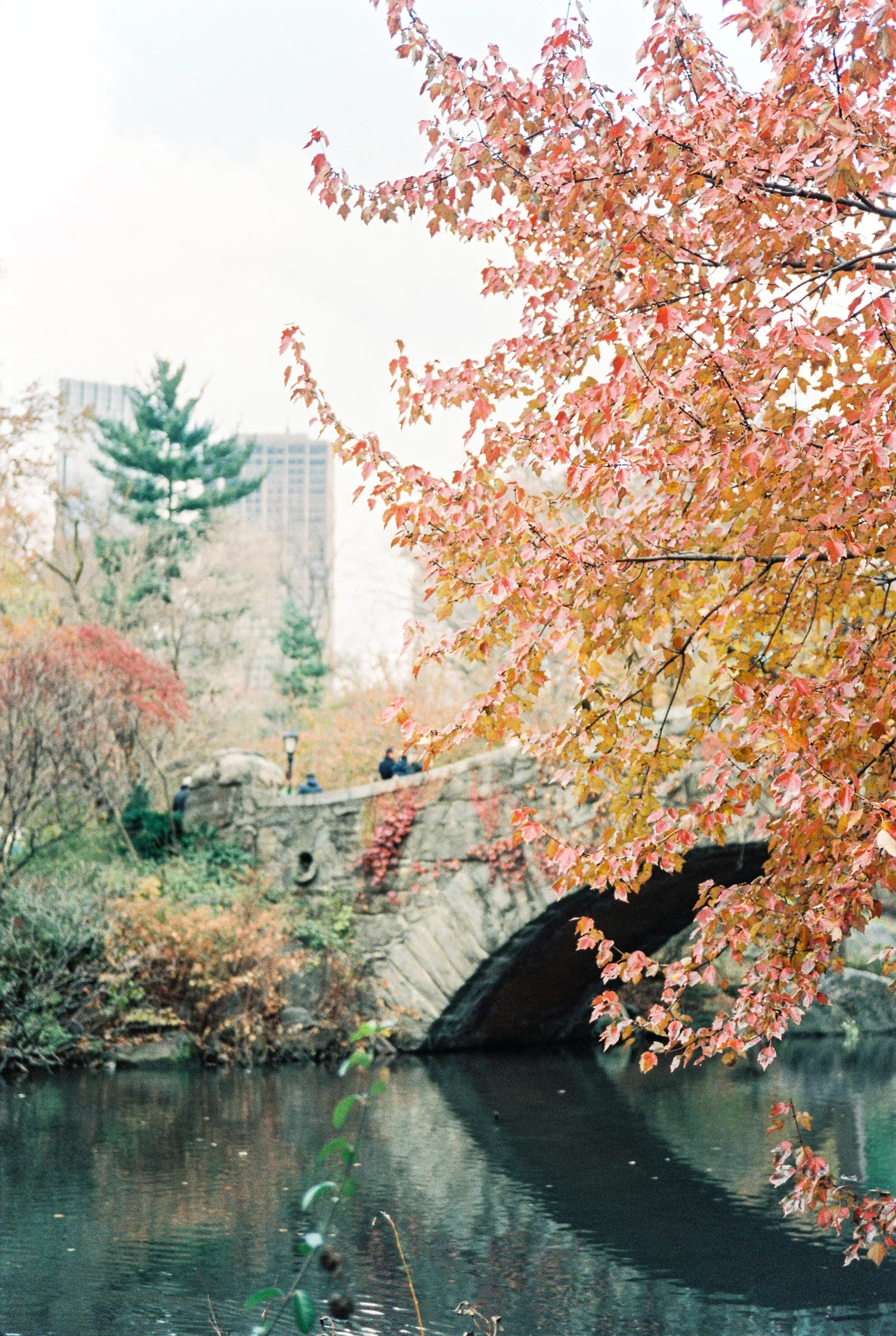 NY1500 - 079.jpg