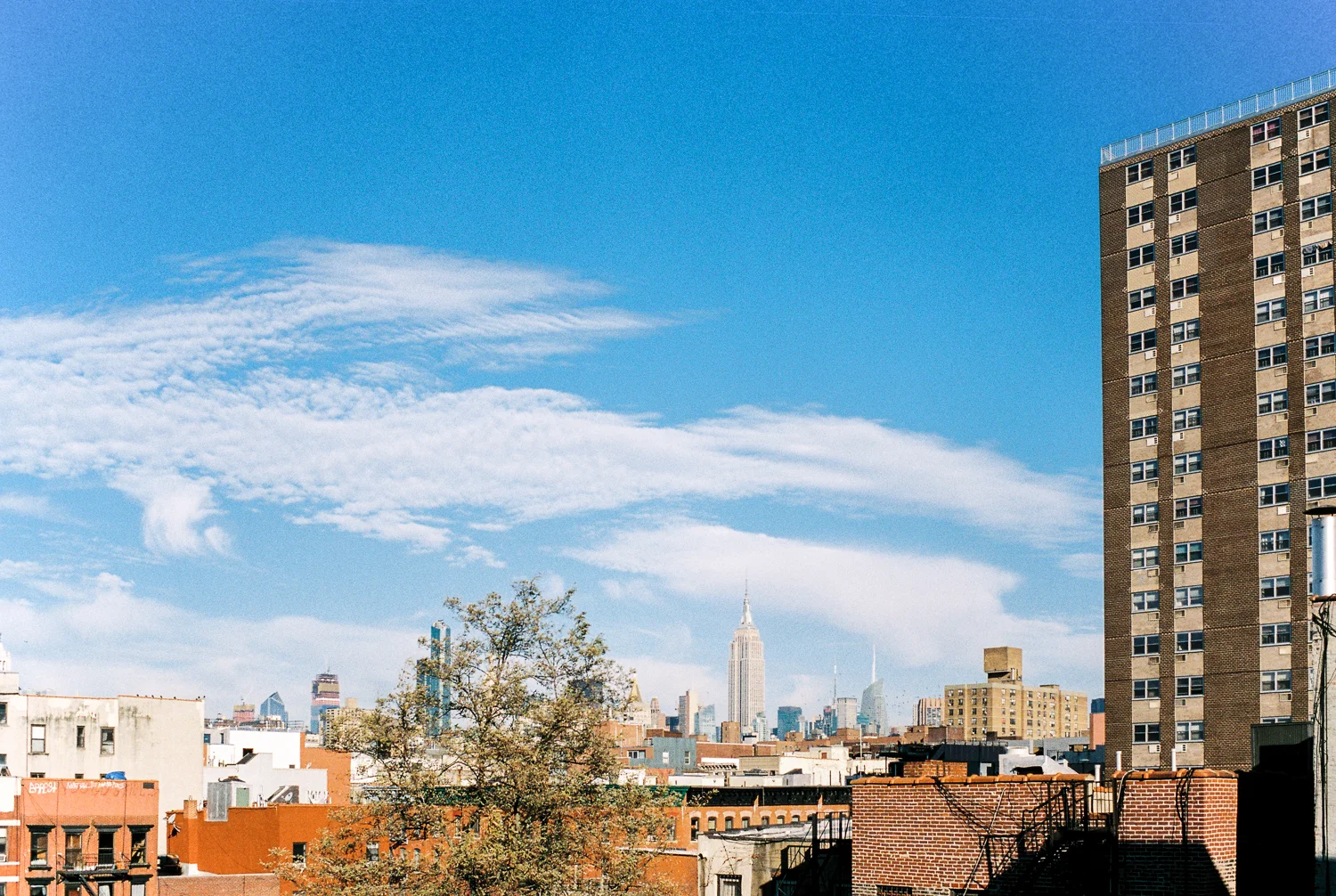 NY1500 - 184.jpg