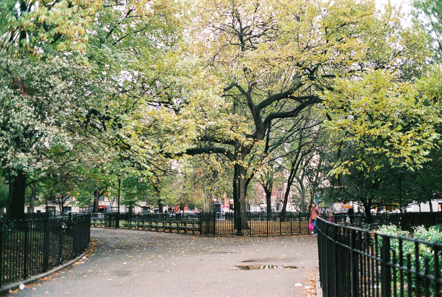 NY1500 - 002.jpg