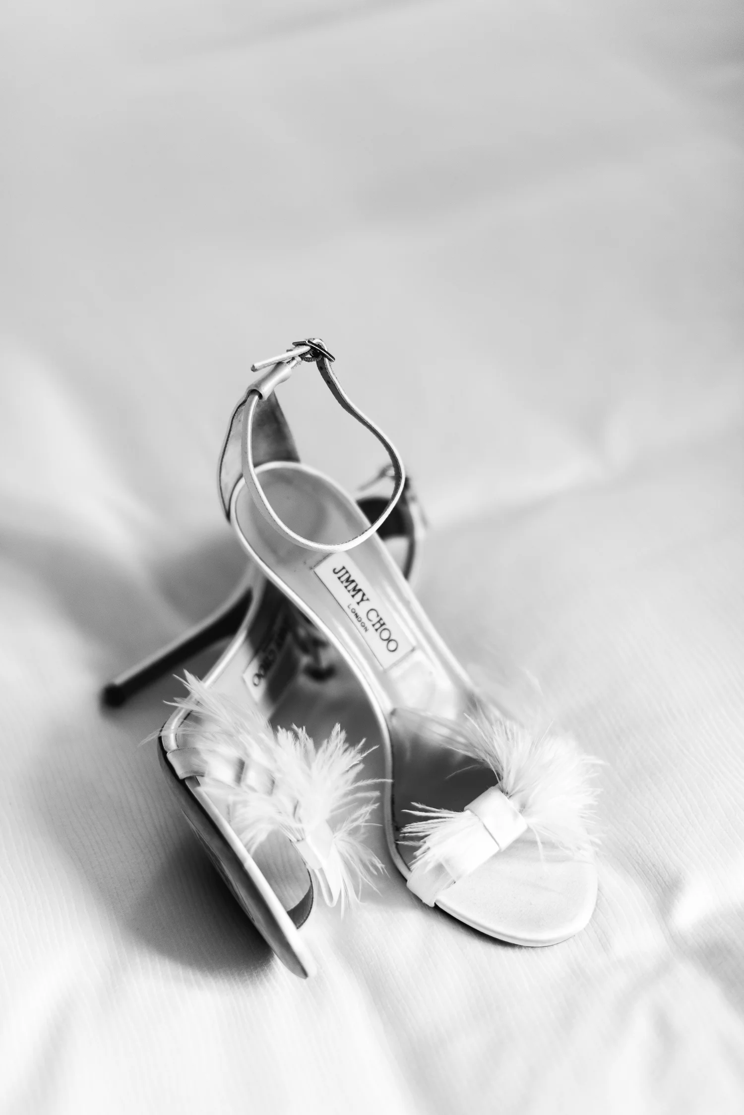 BEST1500-068.jpg