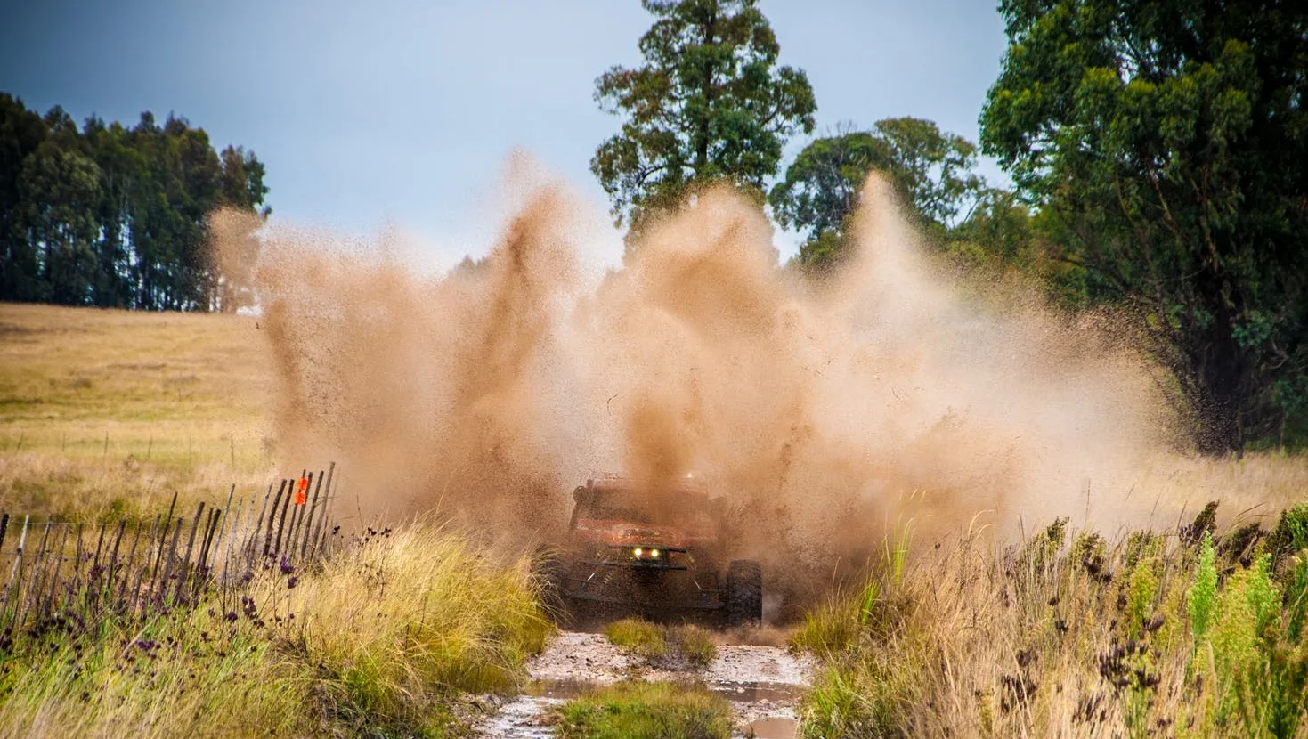 Mud.jpg