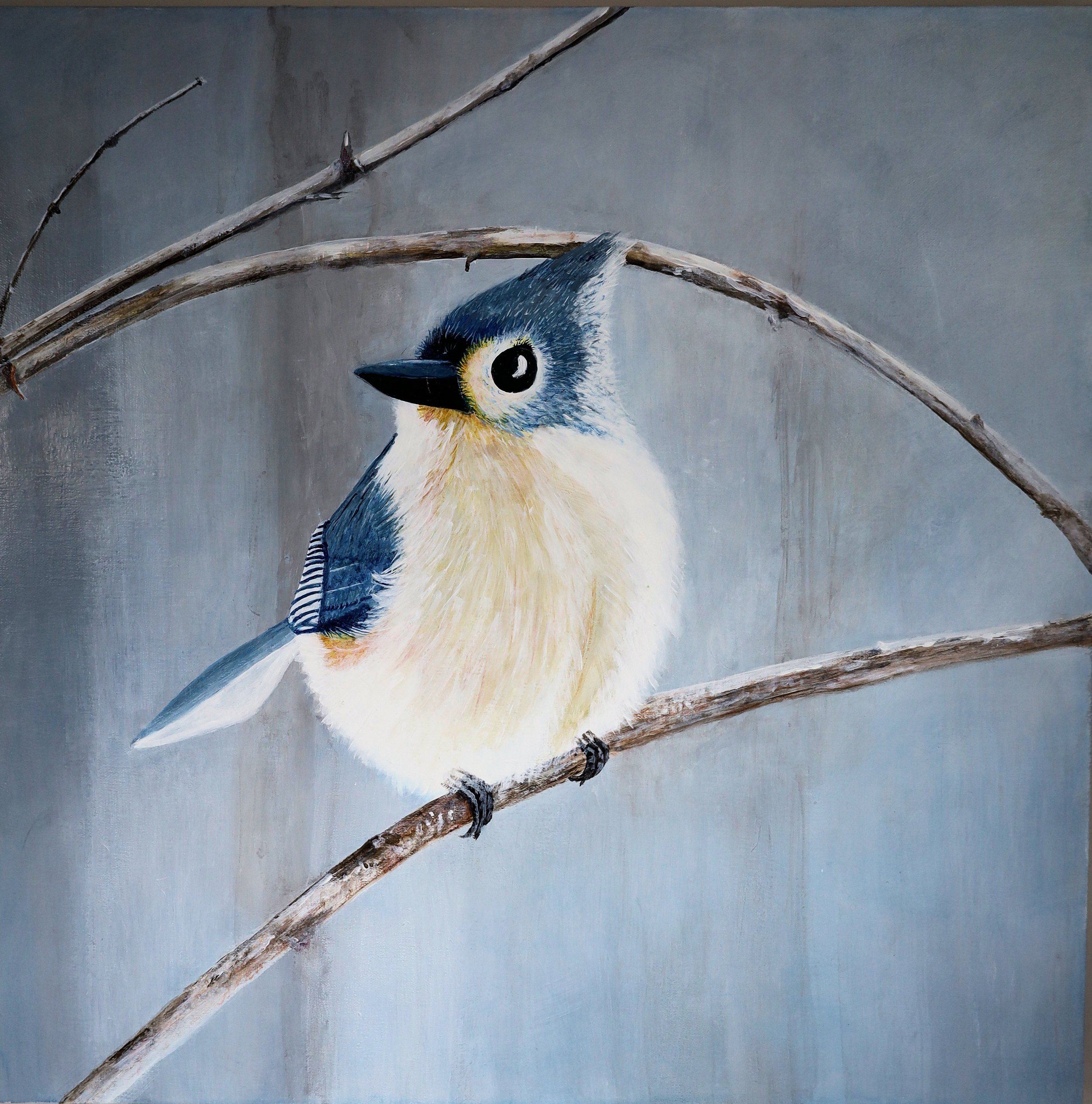 Tufted Titmouse