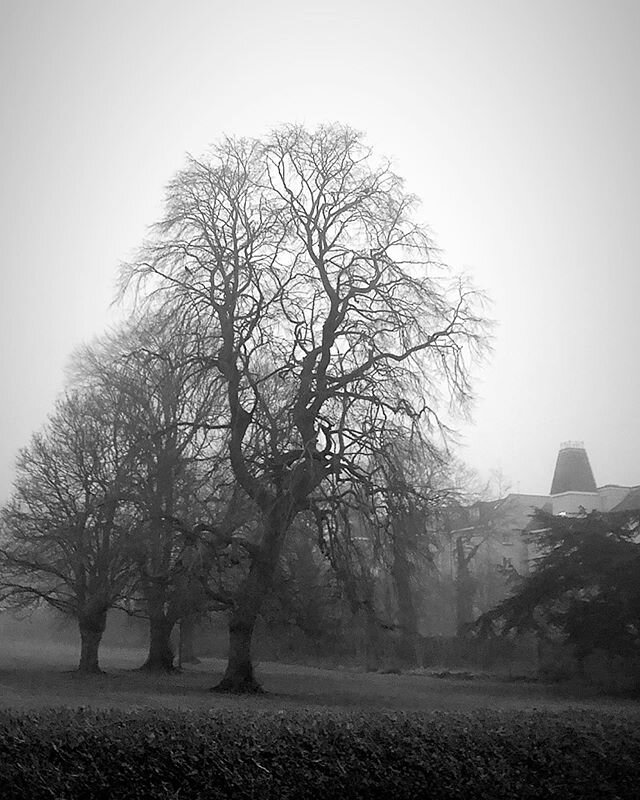Moody Edinburgh, covered in mist #Edinburgh #scotland #morningside