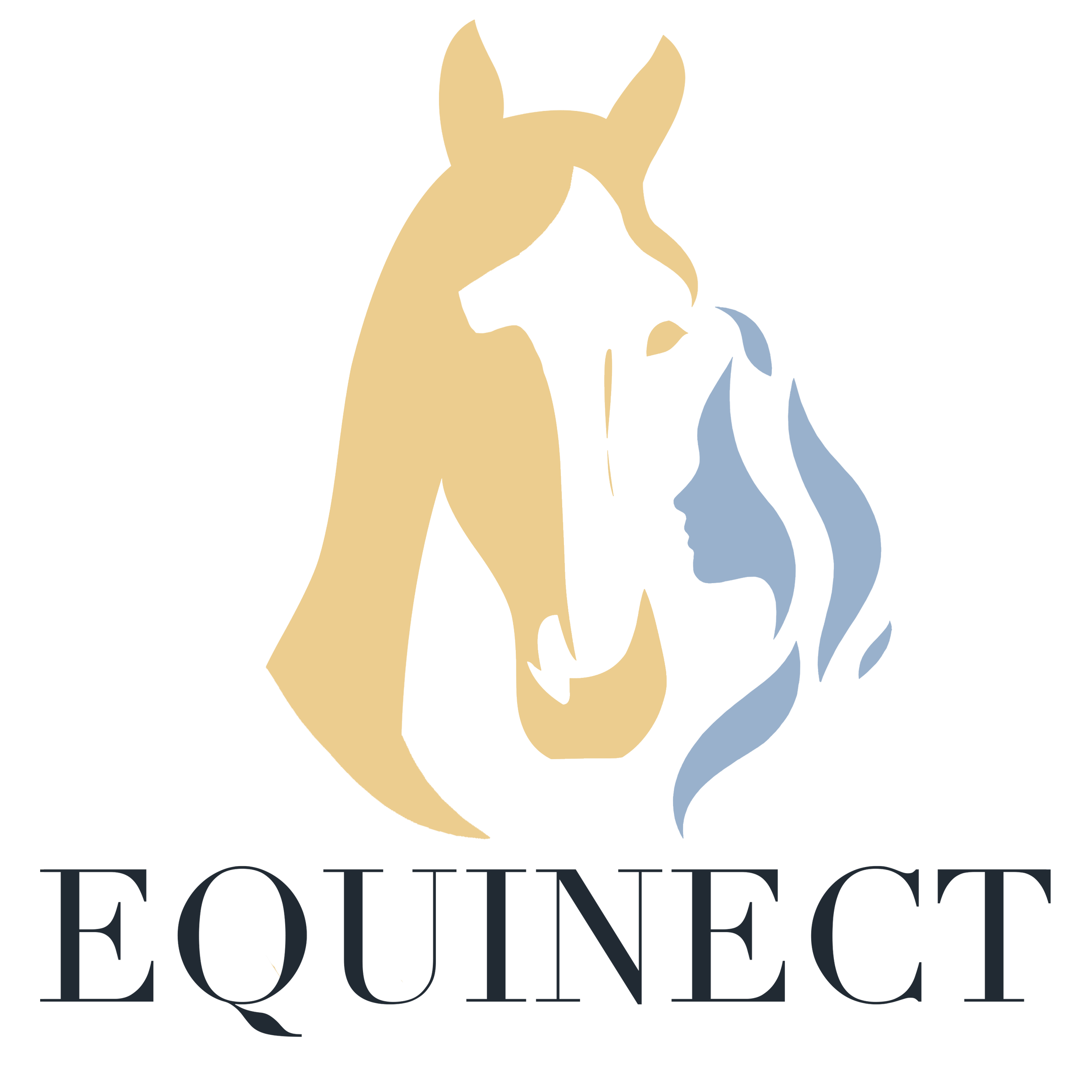 Equinect