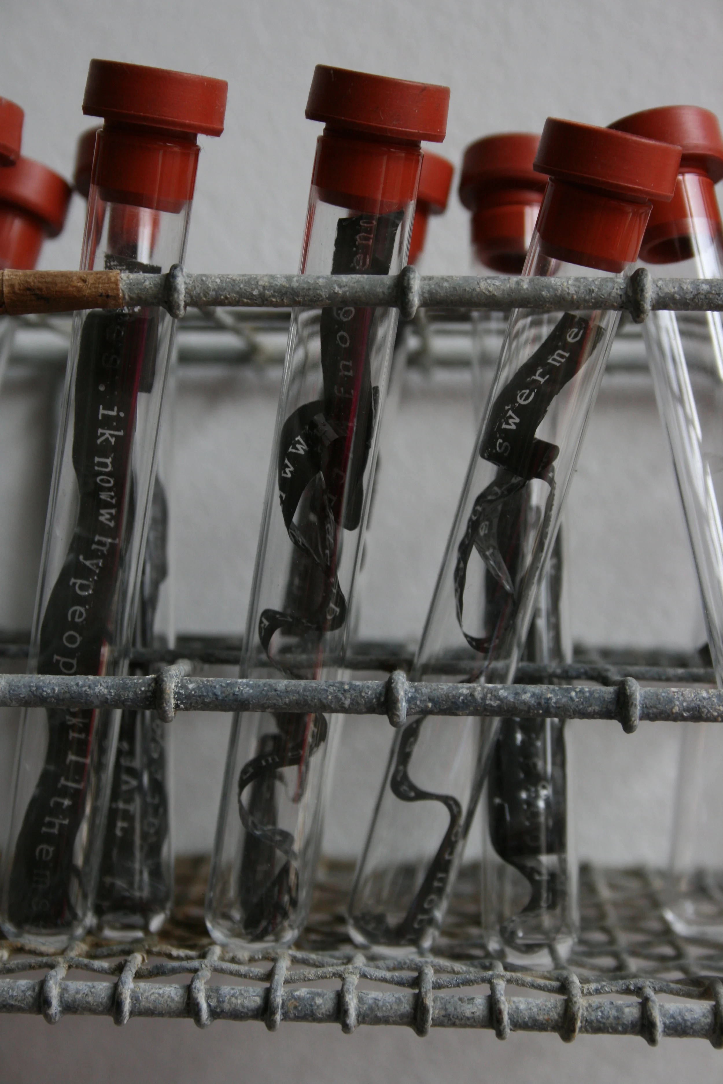 I Know Why - Detail.JPG