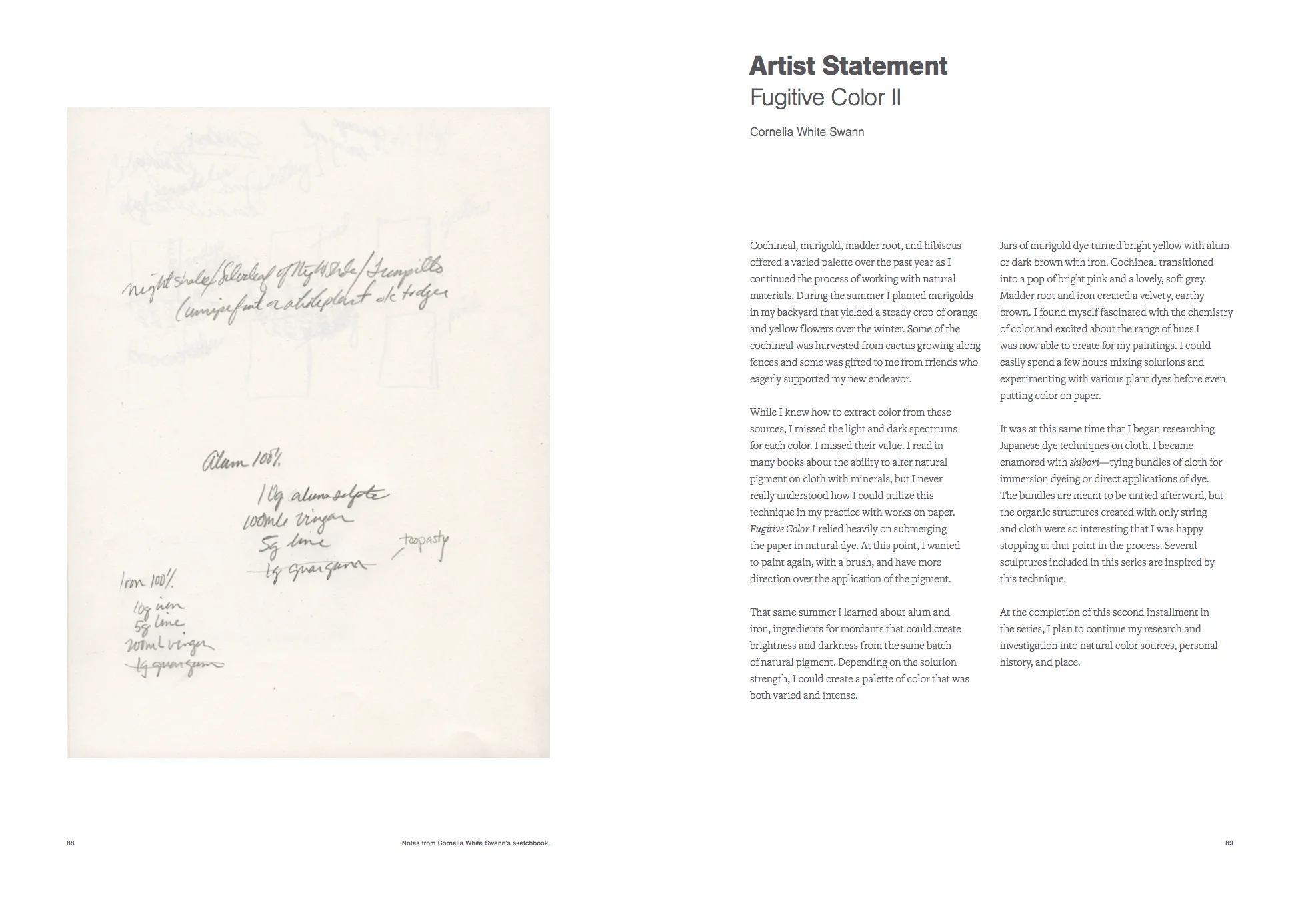 Artist Statement II.jpg