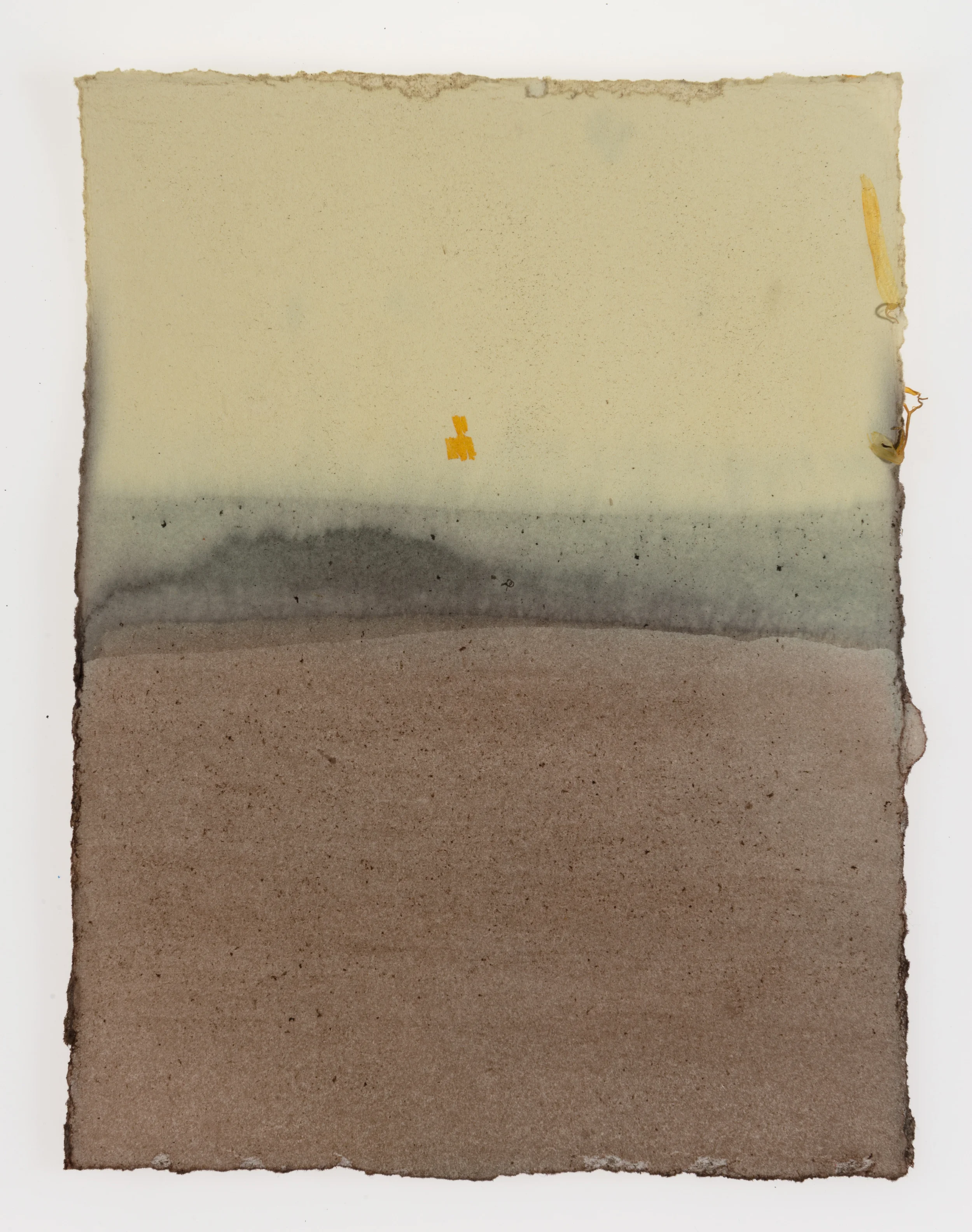 Cornelia White Swann, Beyond the Horizon , 2015. Marigold, madder tood, and henna on paper, 7 1/2 x 5 3/4 inches. Documented February 2015.