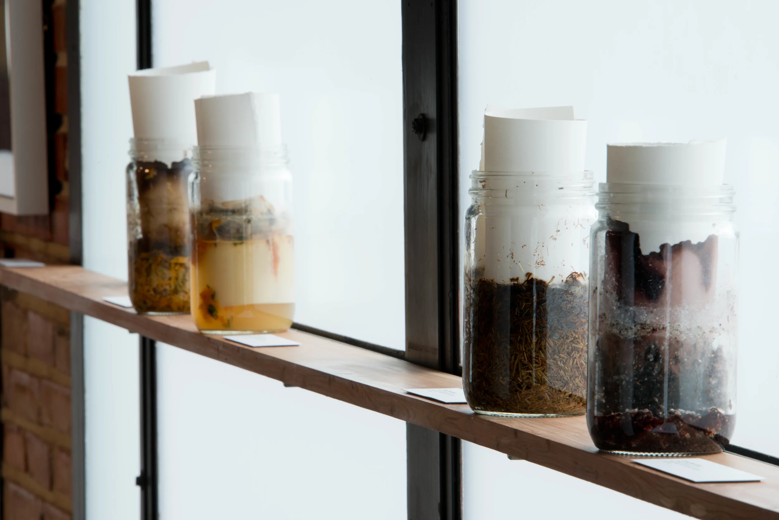 solar dye jars in process during the exhibition cornelia white swann: Fugitive Color I at French & Michigan Gallery. Documented March 2015.