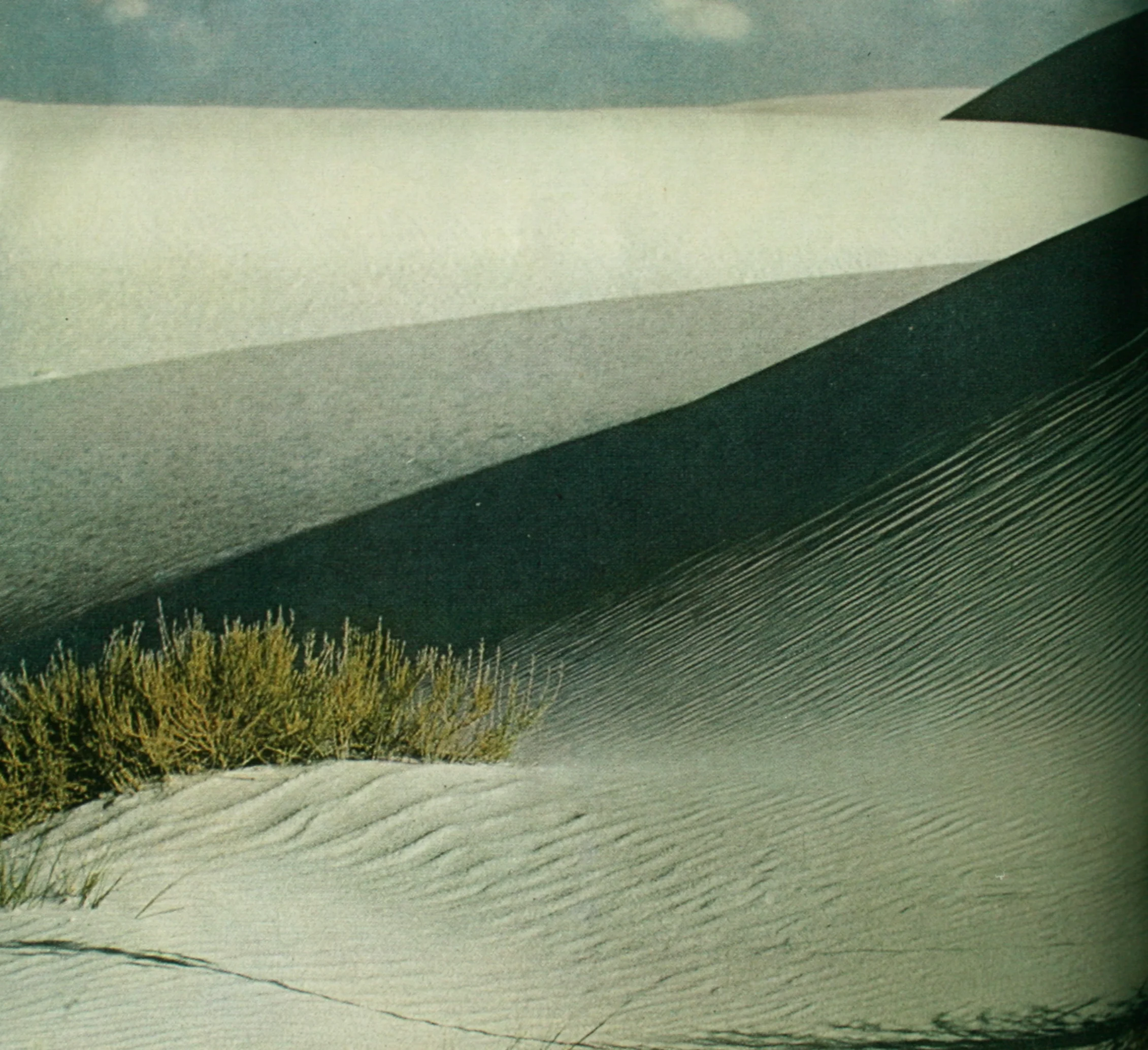   Sand Dunes is a knit collection with a strong focus on color mixing derived from a photograph from a 1970's National Geographic magazine. I paid special attention to the textures in the photograph as well as the placement of light and dark.  