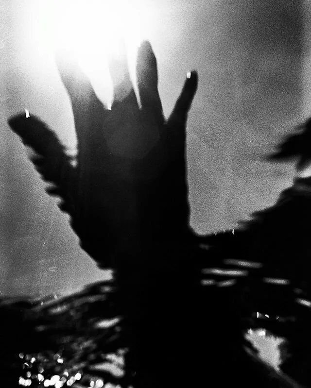 Silence is a privilege. I am in tears every time I have opened this app lately. I have been so scared that I will see another video of unarmed black life being taken at the hands of police using brutal, excessive force. They were not safe while drivi