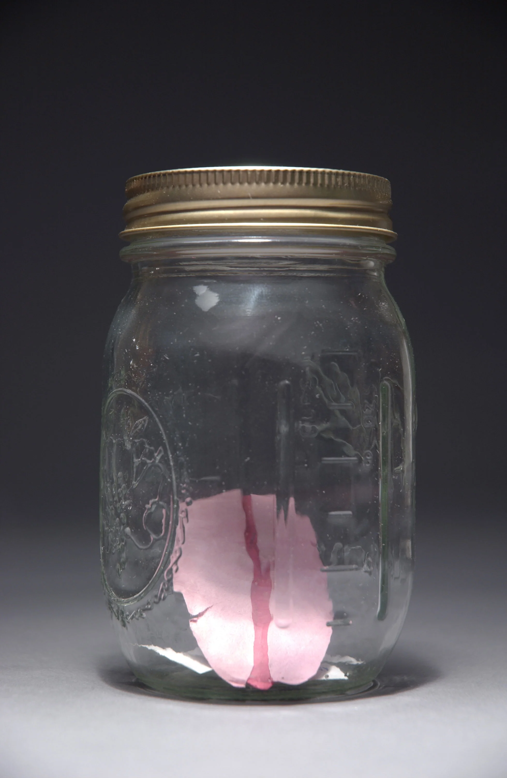 February 28, 2004