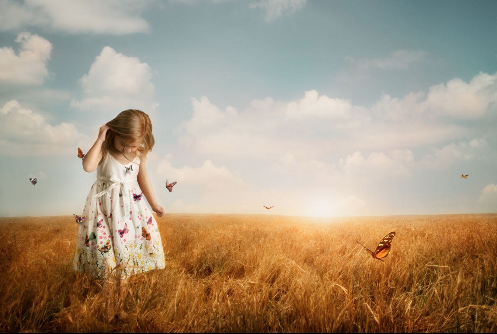 Screen Shot 2015-09-17 at 3.18.26 PM.png