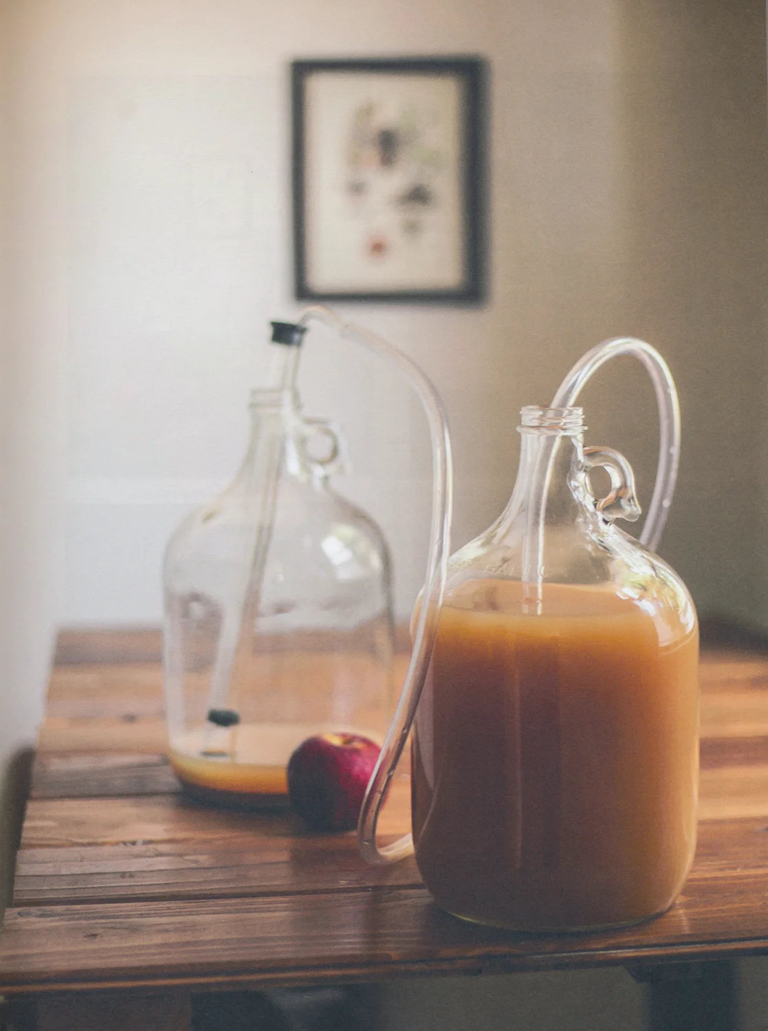 Chickpea Magazine | Fall 2013