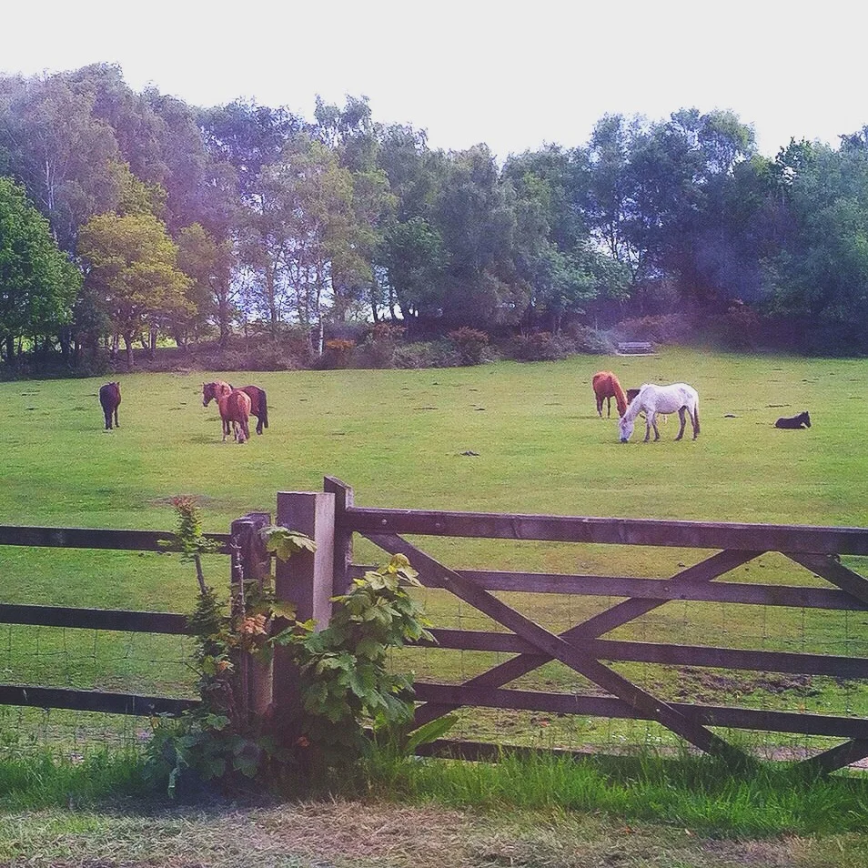 We love being around nature!