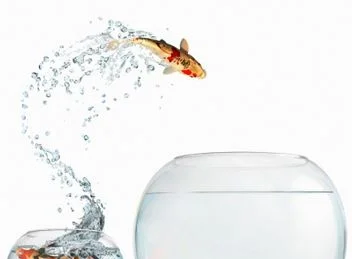 Running your own business…taking the leap of faith!