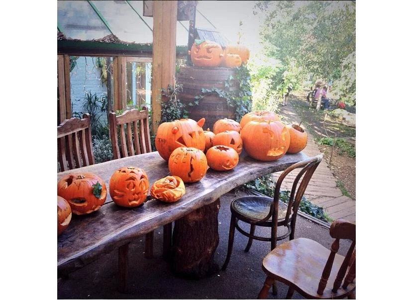 Halloween Treats And Recipes We Love