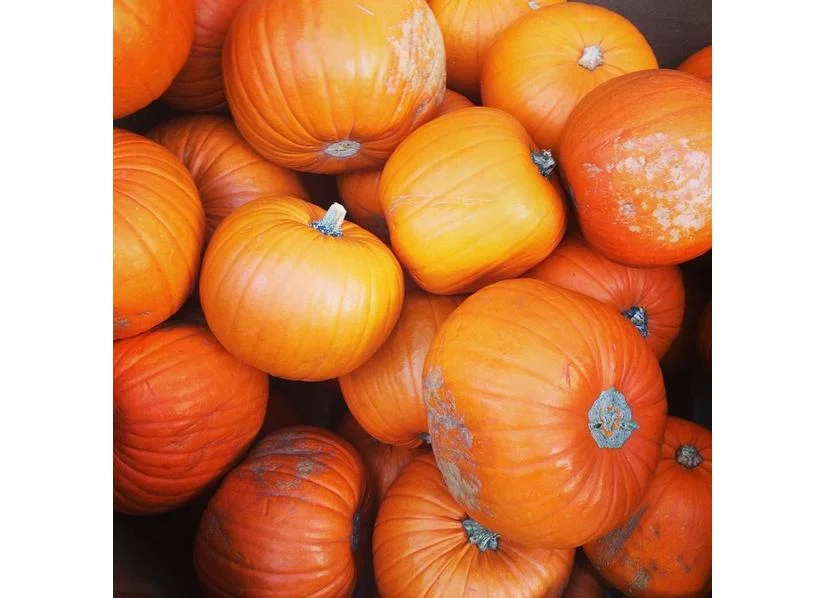 15 Pumpkin Recipes We Love