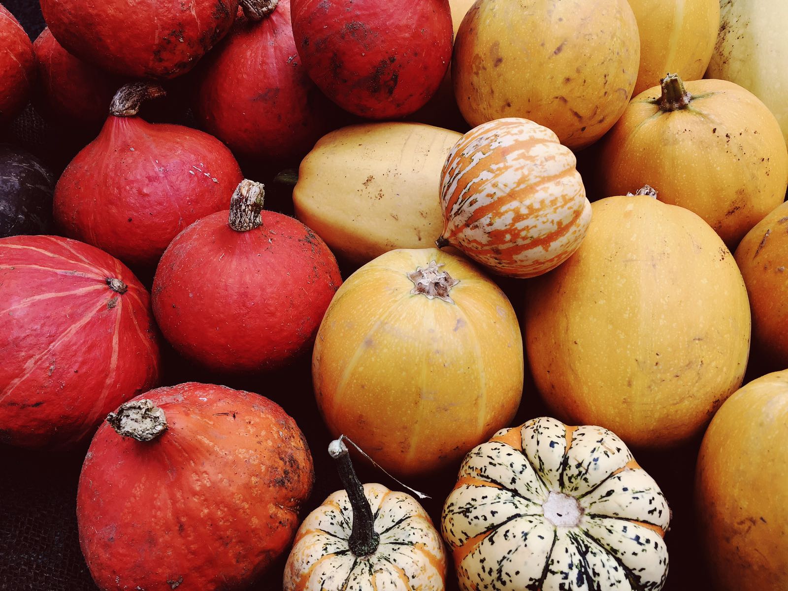 Top 5 Best Food Markets in London for Fall