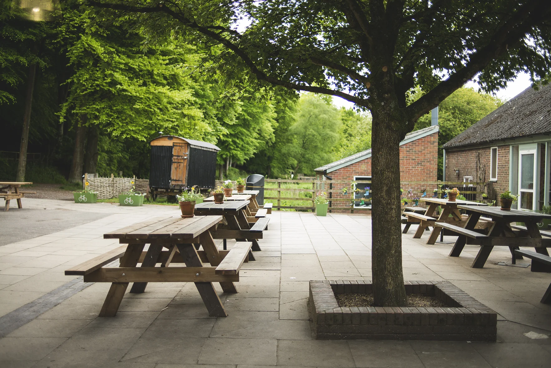 Their garden and eating area is spacious! 