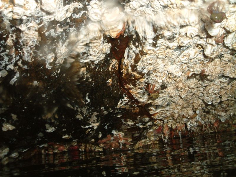 dscf0051.jpg