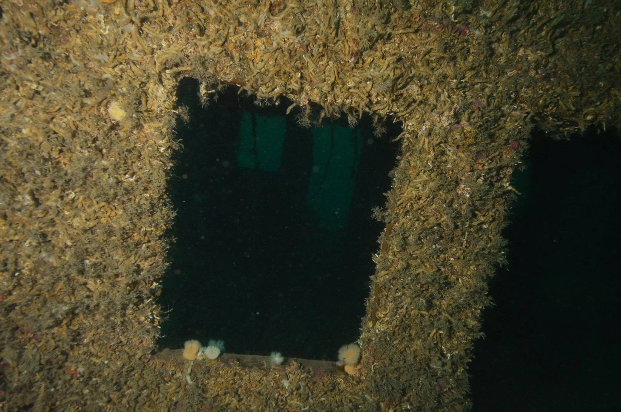 Vårjevndøgns dykk på Rabat