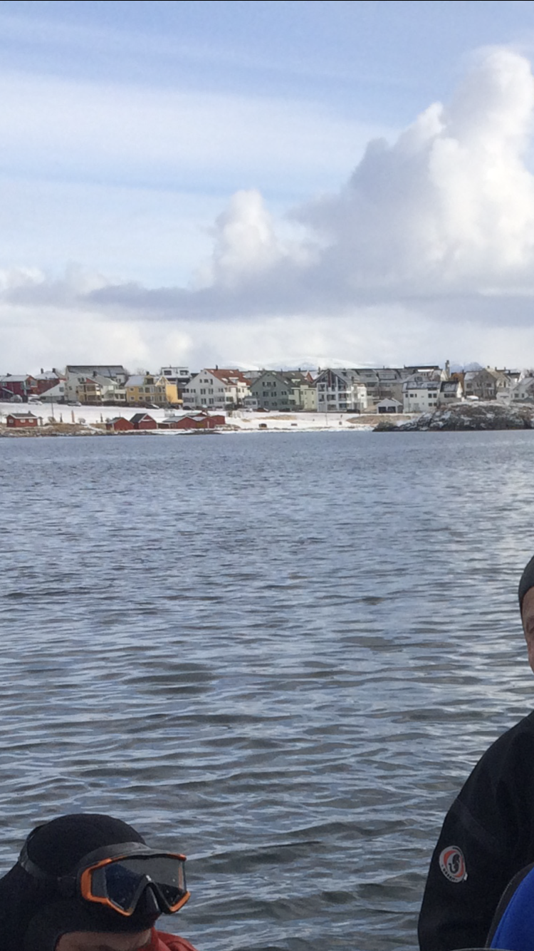 Hvit grillhus like over røde naust