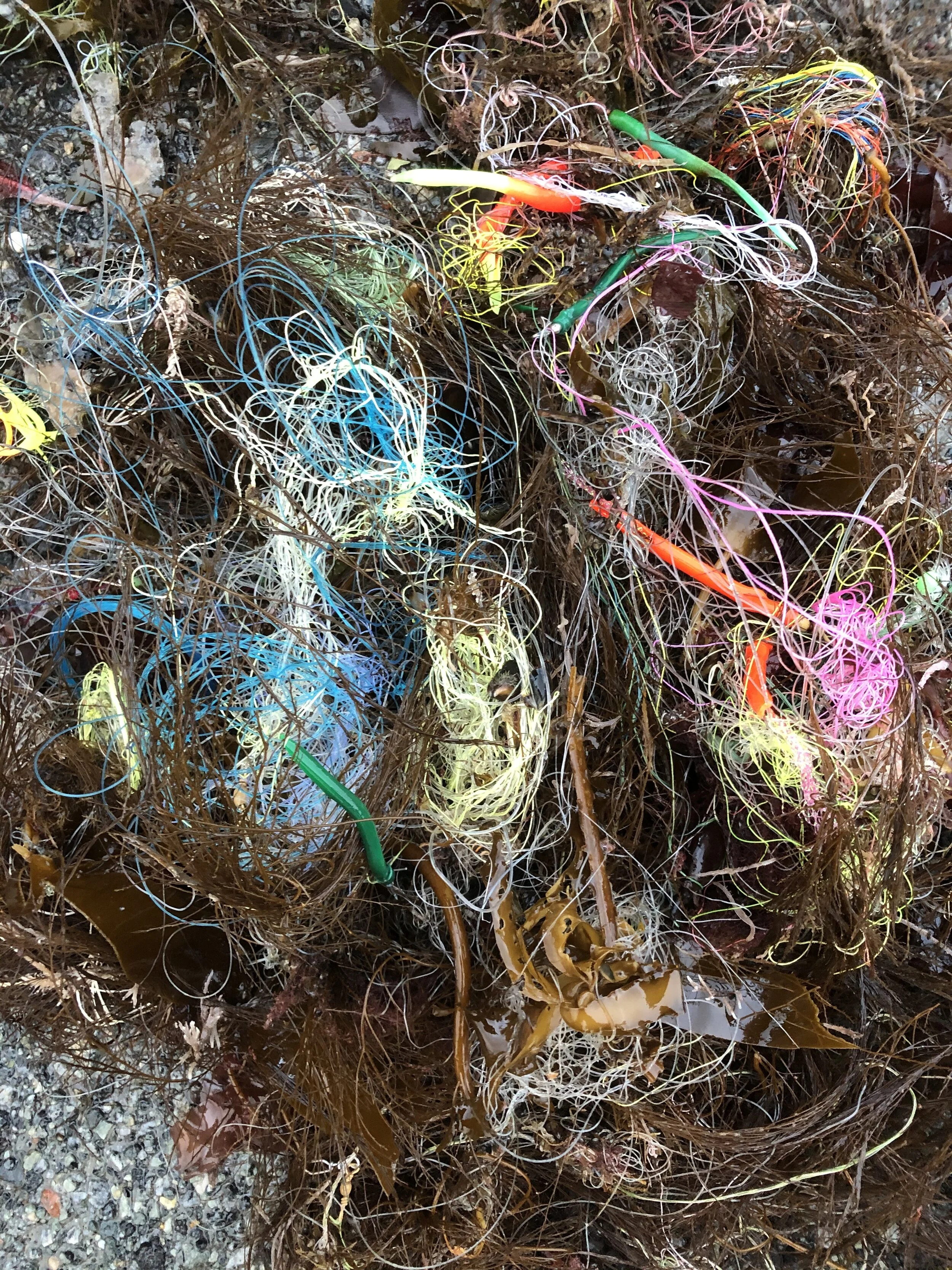 Rapport rydding Oksbåsen, Ørnesset og Ripnes i Saltstraumen, 12.-13.september