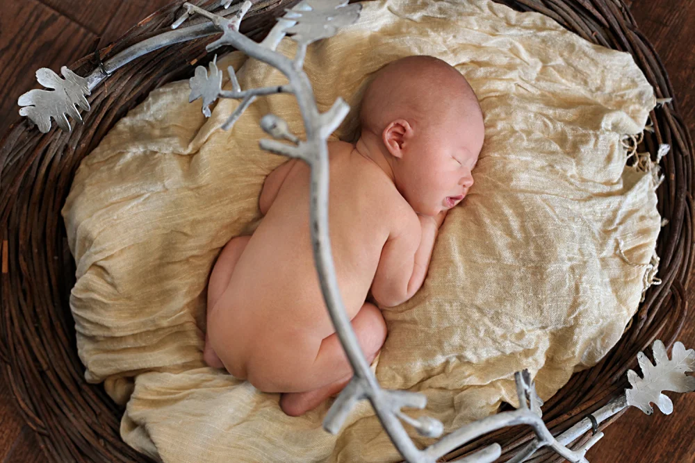 Dallas Newborn Photographer14.jpg